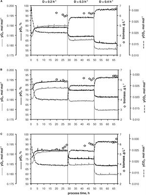 Revisiting the Growth Modulon of Corynebacterium glutamicum Under Glucose Limited Chemostat Conditions